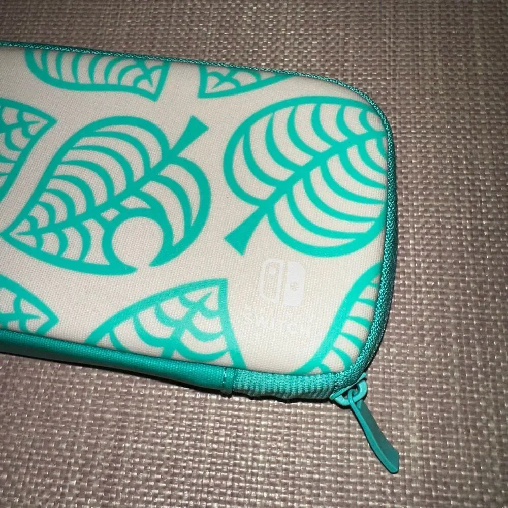 Nintendo case switch